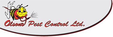 Olson's Pest Control serving Kelowna and surrounding areas since 1978.